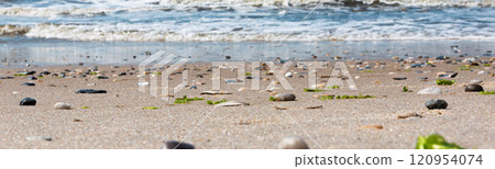 Beautiful Sandy Beach With Shells and Seaweed During Daytime by the Ocean Waves 120954074