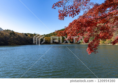Lake Shibireko in autumn 120954160