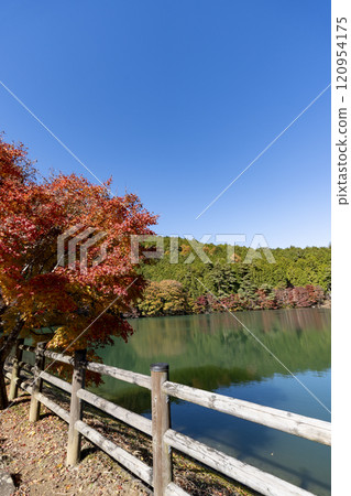 Autumn leaves at Lake Minami-Inaga 120954175
