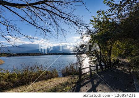 Fall in Lake Tanuki 120954231