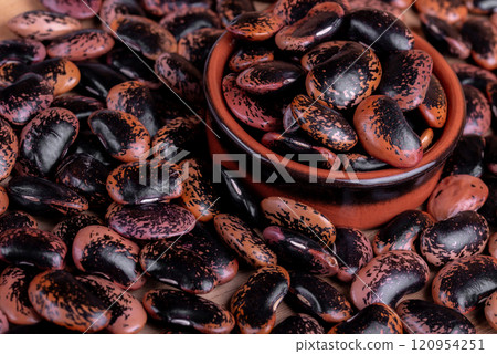Phaseolus coccineus, known as runner bean, scarlet runner bean, or multiflora bean, Fabaceae. 120954251