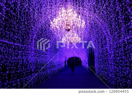Fujisawa City Enoshima Sea Candle Illumination Shonan Jewel 120954455