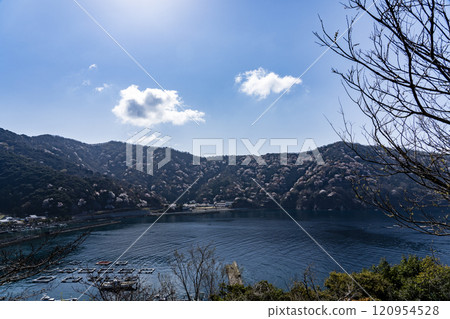 冬天櫻花樹的寺廟 120954528