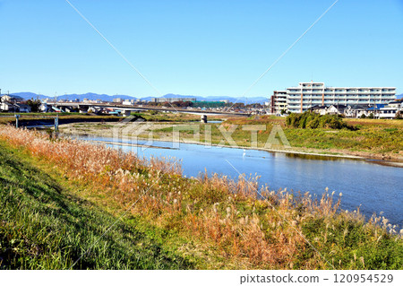 Manganji Pedestrian Bridge (Fureai Bridge) / Looking upstream from the Asakawa River toward Takahata Bridge (Hino City, Tokyo) [2024.11] 120954529