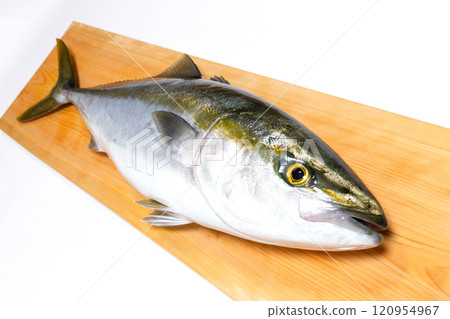 Fresh Buri 120954967