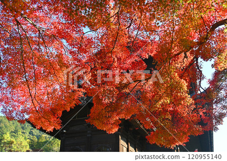 京都市的南禪寺門透過鮮紅的楓葉 京都市的南禪寺門透過鮮紅的楓葉 120955140