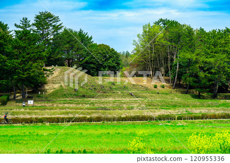 小森塚古墳的春天 1 岡山縣總社市 小森塚古墳的春天 1 岡山縣總社市 120955336