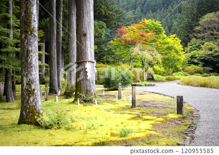古峰神社庭園 古峰神社庭園 120955585