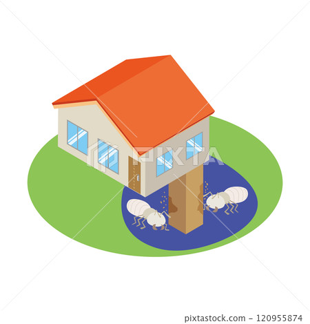 房屋地板下有白蟻損壞 120955874