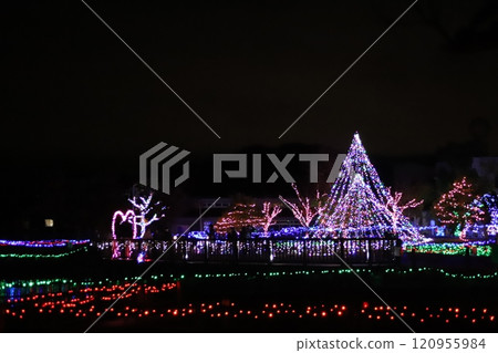 romantic illumination romantic illumination 120955984