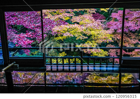 京都八瀨琉璃光院秋葉 120956315
