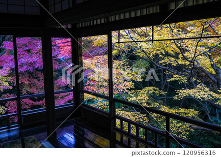 京都八瀨琉璃光院秋葉 京都八瀨琉璃光院秋葉 120956316