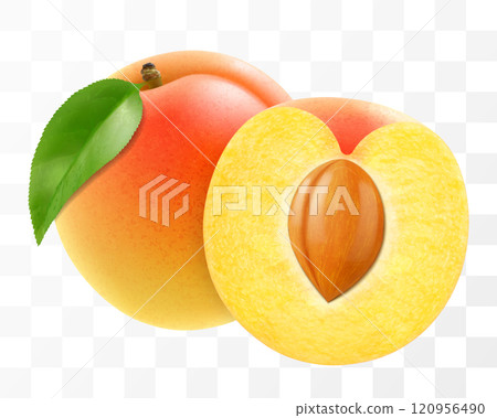 Apricot fruit whole and half with pit isolated on transparent background. Concept of healthy food, vegetarian dieting. Realistic 3d vector illustration. 120956490