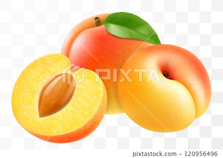 Apricot fruits whole and half with pit isolated on transparent background. Concept of healthy food, vegetarian dieting. Realistic 3d vector illustration. 120956496