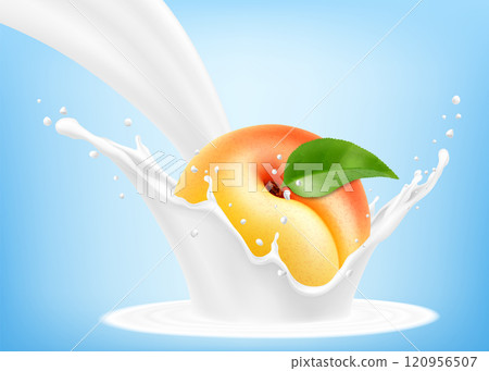 Fresh ripe apricot falls into a splash of yogurt or milk, cocktail splash with drops, Milkshake splash with sweet juicy fruit. Realistic 3d vector illustration Fresh ripe apricot falls into a splash of yogurt or milk, cocktail splash with drops, Milkshake splash with sweet juicy fruit. Realistic 3d vector illustration 120956507