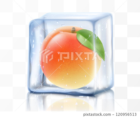 Fresh ripe apricot in ice cube isolated on transparent background. Frozen tasty juicy apricot, realistic 3d vector illustration. Bright tropical summer design Fresh ripe apricot in ice cube isolated on transparent background. Frozen tasty juicy apricot, realistic 3d vector illustration. Bright tropical summer design 120956513