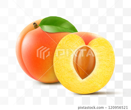 Apricot fruits whole and half with pit isolated on transparent background. Concept of healthy food, vegetarian dieting. Realistic 3d vector illustration. 120956521