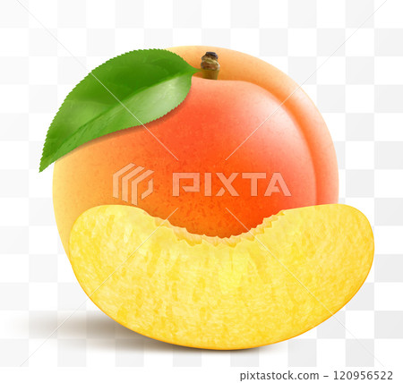 Ripe sweet apricot fruits whole and slices isolated on transparent background. Concept of healthy food, vegetarian dieting. Realistic 3d vector illustration. 120956522
