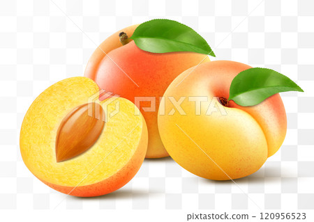 Apricot fruits whole and half with pit isolated on transparent background. Concept of healthy food, vegetarian dieting. Realistic 3d vector illustration. 120956523