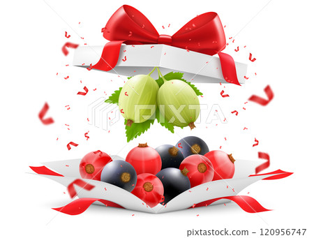 Fresh juicy berries in open gift box with a red bow isolated on transparent background. Ripe red currants, gooseberries and blackcurrants as a gift, Healthy food, Realistic 3d vector illustration 120956747
