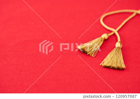 新年的形象 新年的形象 120957087