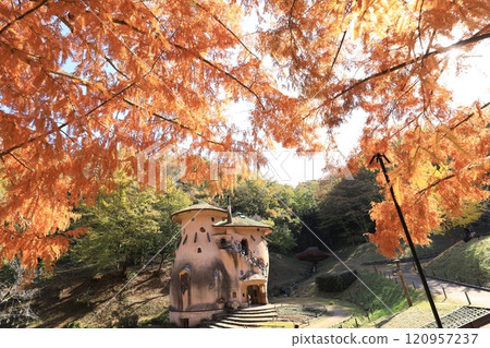 Tobe Jansson Akebono兒童森林公園 120957237