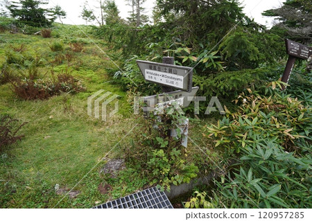 從哈風山到多納貝山，下山到五味池，到達哈風高原道路的路標。 120957285