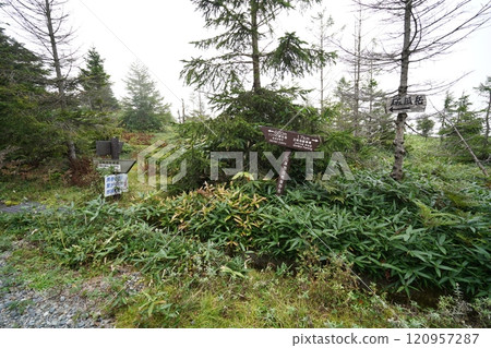 A signboard at the beginning of the hiking trail from Mt. Hafu to Mt. Donabe, where you descend towards Gomiike and come to the road to Hafu Plateau. 120957287