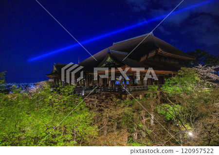 Kiyomizu-dera Sakura lit up after renovation Kiyomizu-dera Sakura lit up after renovation 120957522