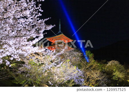 裝修後的清水寺櫻花 120957525