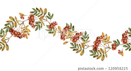 Rowan branch with ripe red berries and leaves. Rowanberry Seamless Border. Watercolor hand drawn floral illustration isolated on white background for fall design, cozy cards, prints, home textile Rowan branch with ripe red berries and leaves. Rowanberry Seamless Border. Watercolor hand drawn floral illustration isolated on white background for fall design, cozy cards, prints, home textile 120958225