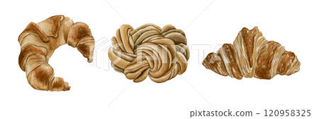 Croissants and cinnamon bun. Fresh bakery dessert set. Watercolor food isolated illustration for Thanksgiving holiday, bakery design, cafe menu, cook book, kitchen textile, delicious prints, cards 120958325