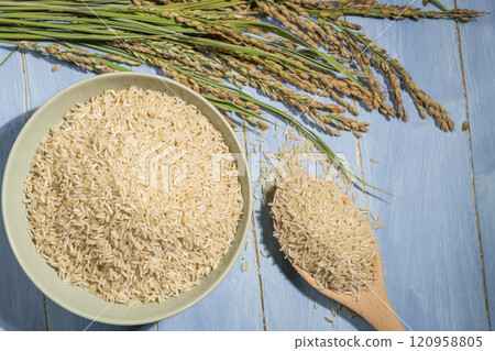 Nice view of a bowl of brown raw rice is next to a spoonful and ears of rice 120958805