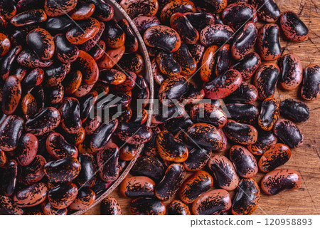 Phaseolus coccineus, known as runner bean, scarlet runner bean, or multiflora bean, Fabaceae. 120958893