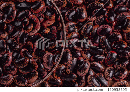 Phaseolus coccineus, known as runner bean, scarlet runner bean, or multiflora bean, Fabaceae. 120958895