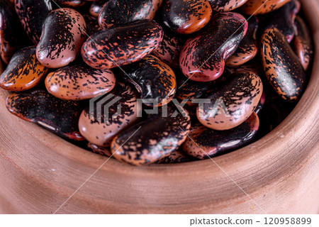 Phaseolus coccineus, known as runner bean, scarlet runner bean, or multiflora bean, Fabaceae. 120958899