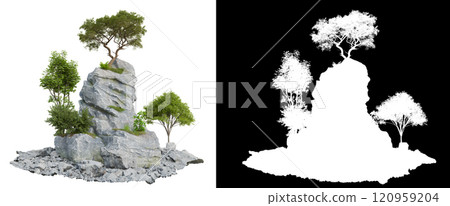 tree on mountain rock on white background 120959204