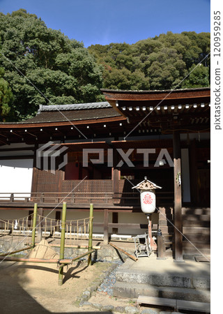 World Heritage Site Ujikami Shrine: National Treasure Worship Hall and Kiyosuna (Uji City, Kyoto Prefecture) World Heritage Site Ujikami Shrine: National Treasure Worship Hall and Kiyosuna (Uji City, Kyoto Prefecture) 120959285
