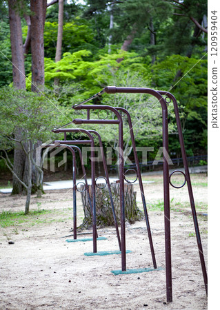 Park in the forest Park in the forest 120959404