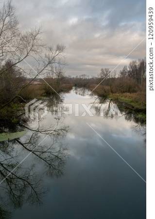 A river with trees that gives a beautiful reflection in the water. A dark sky with clouds in the background 120959439