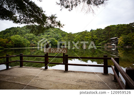 Pond in the forest 120959526