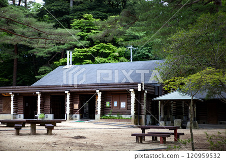 Park in the forest 120959532