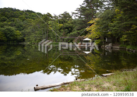Scenery with a pond 120959538
