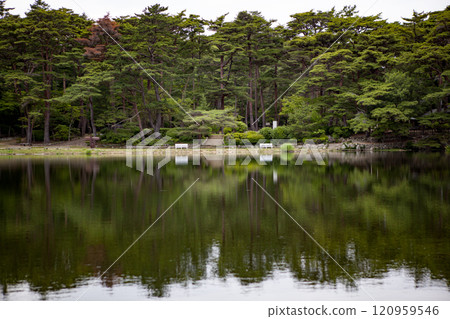 Pond in the forest Pond in the forest 120959546