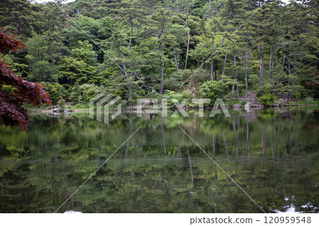 Pond in the forest 120959548