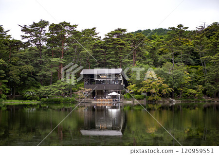 Pond in the forest Pond in the forest 120959551