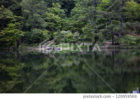 Pond in the forest 120959569