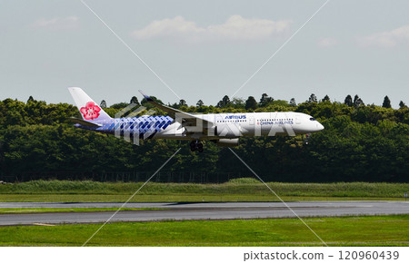 中華航空 A350-900 成田胸針十和三 120960439