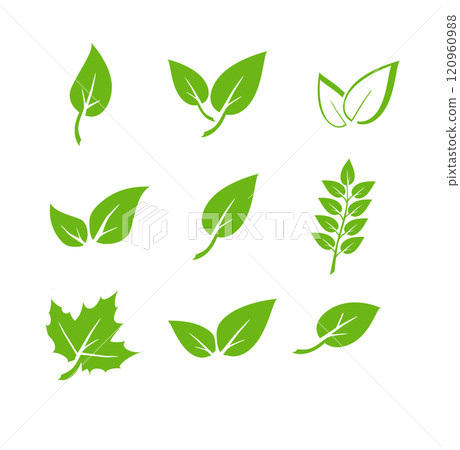 Green leaf icons set. Elements design for natural, eco, vegan. Leaves icon on isolated background. Collection green leaf. Vector Green leaf icons set. Elements design for natural, eco, vegan. Leaves icon on isolated background. Collection green leaf. Vector 120960988