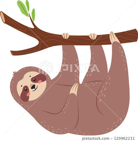 Adorable cartoon sloth hanging upside down from a tree branch, enjoying a peaceful life in the rainforest, ideal for children s books and charming wildlife projects 120962231